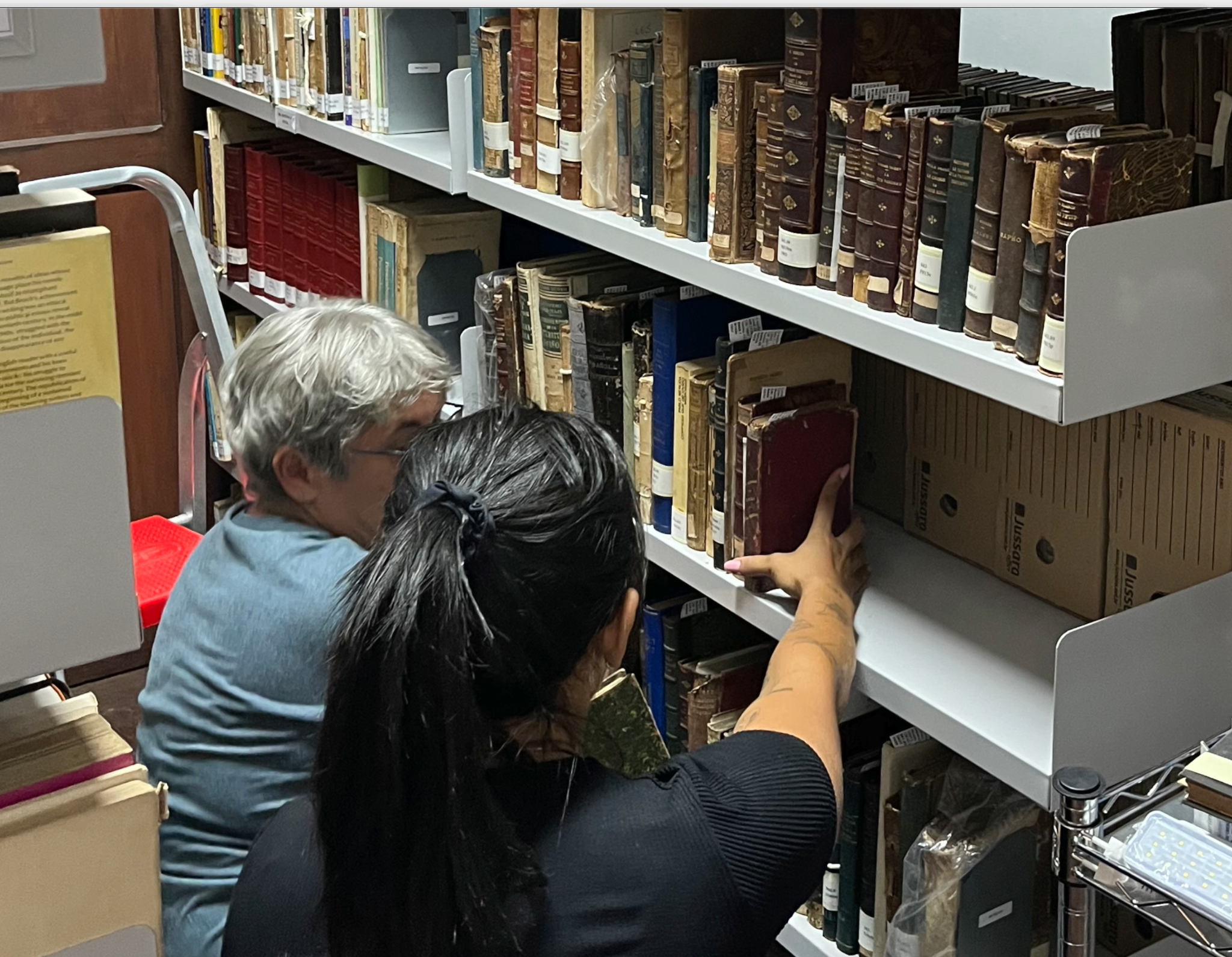 Profissionais trabalham na organização e preservação do acervo bibliográfico da Academia Brasileira de Filosofia